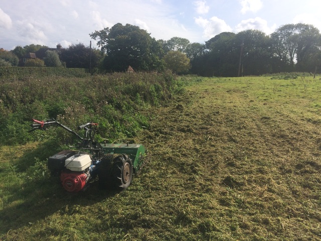  Clearing undergrowth with our pedestrian flail mower 