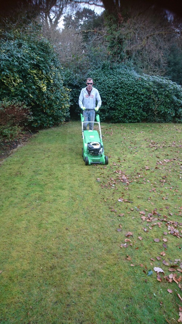  Mowing and collecting the leaves 
