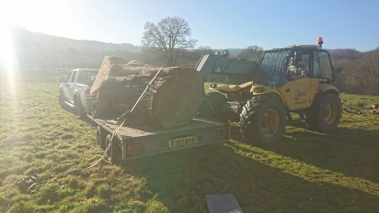  Loading timber from a fallen tree for the mill 
