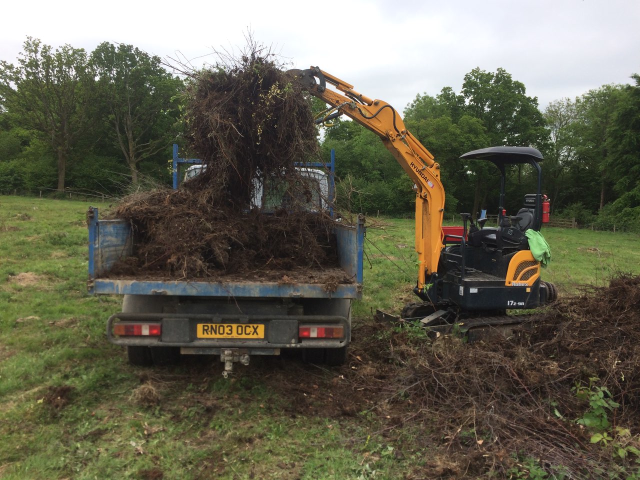 Removing scrub pulling arisings from site on a nature reserve 