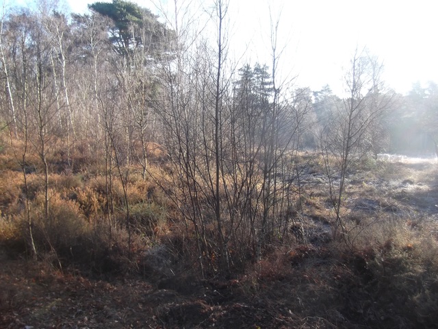  Ideal target regen for this method 