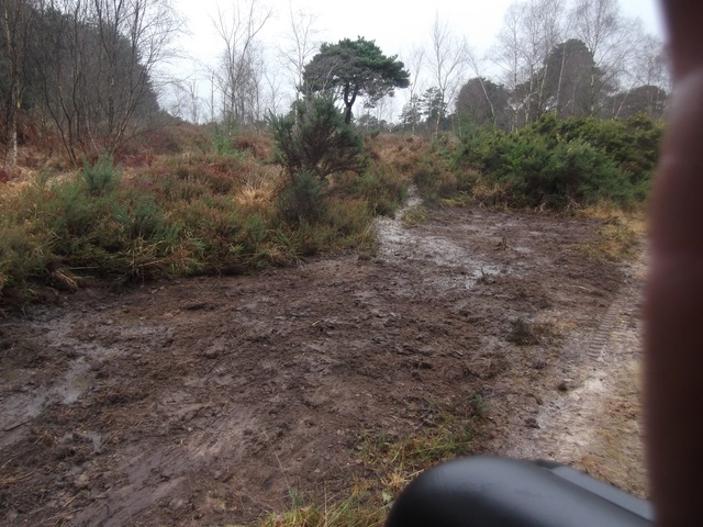  Extremely accurate. low disturbance scrapes on heather 