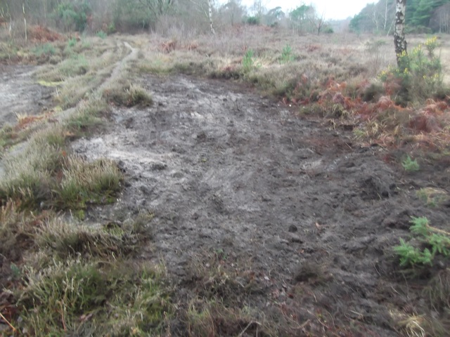  Extremely accurate. low disturbance scrapes on heather 