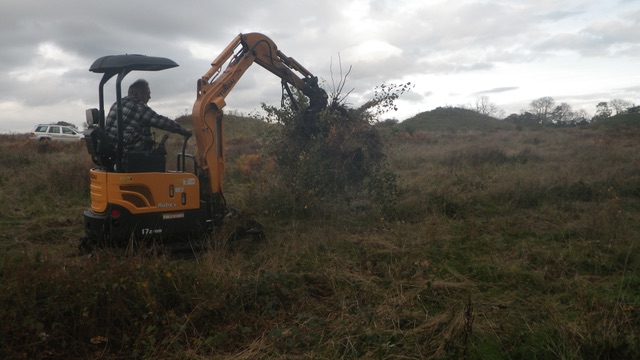 Mechanical removal to burn pile 